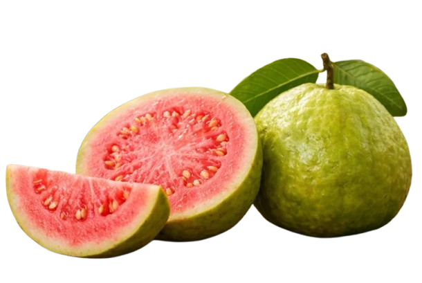 Guava